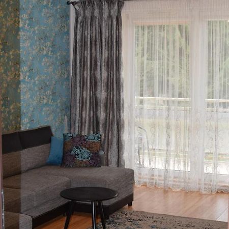 אולז'טין Apartament Galeria Warminska מראה חיצוני תמונה