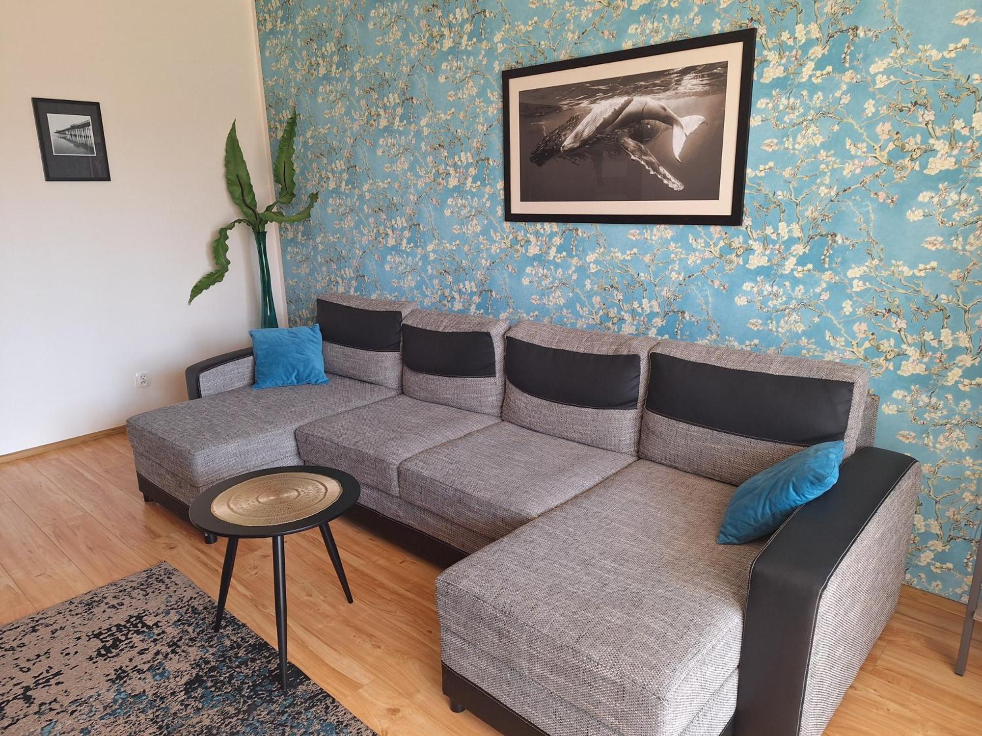 אולז'טין Apartament Galeria Warminska מראה חיצוני תמונה